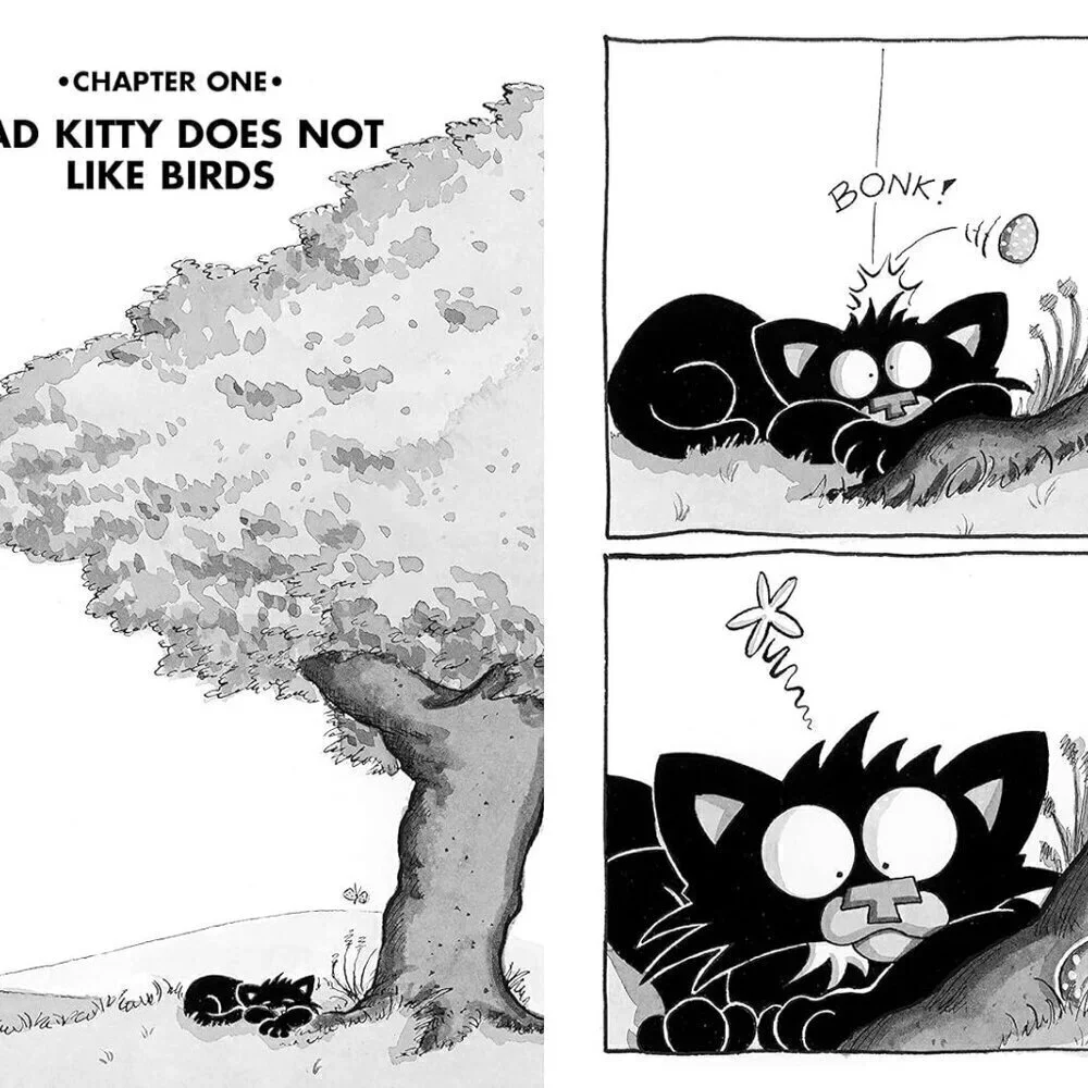 Bad Kitty Book Graphic Novel Takes the Test Nick Bruel 2017